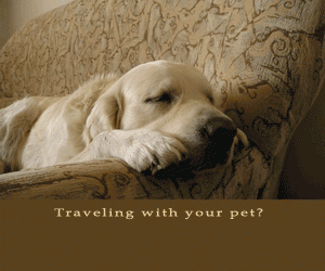 Bring My Pet Friendly Lodging Guide
